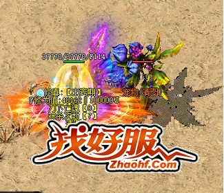 法师与宠物的无缝合作