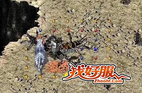 跨界装备:道术飞升的新选择