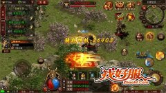 zhaohf
