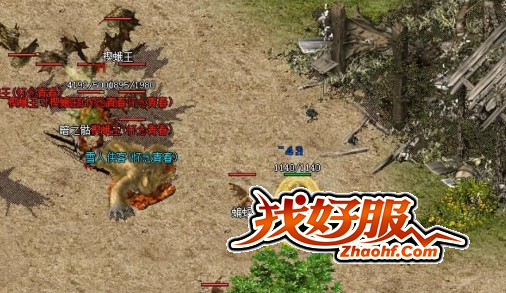 法道宝宝逆袭,从49级到顶级的蜕变之路