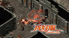 zhaohf